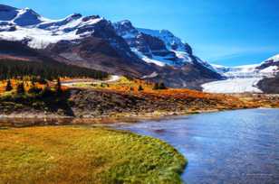 Columbia Icefield and Icefields Highway-4271 Columbia Icefield and Icefields Highway-4271